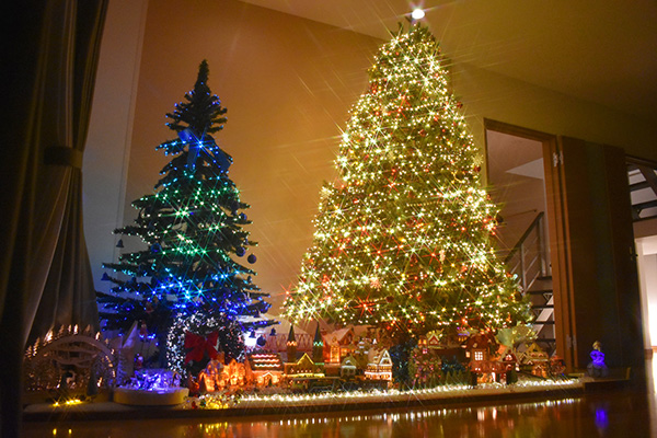 ���X����i