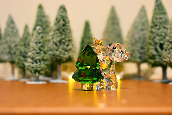 ���X����i