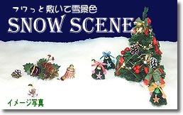 �C���[�W�ʐ^