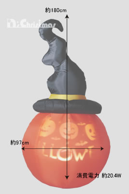 TCYC[W