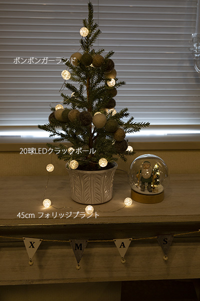 ���C�e�B���O�O���X�h�[���i�X�L�[�T���^�j