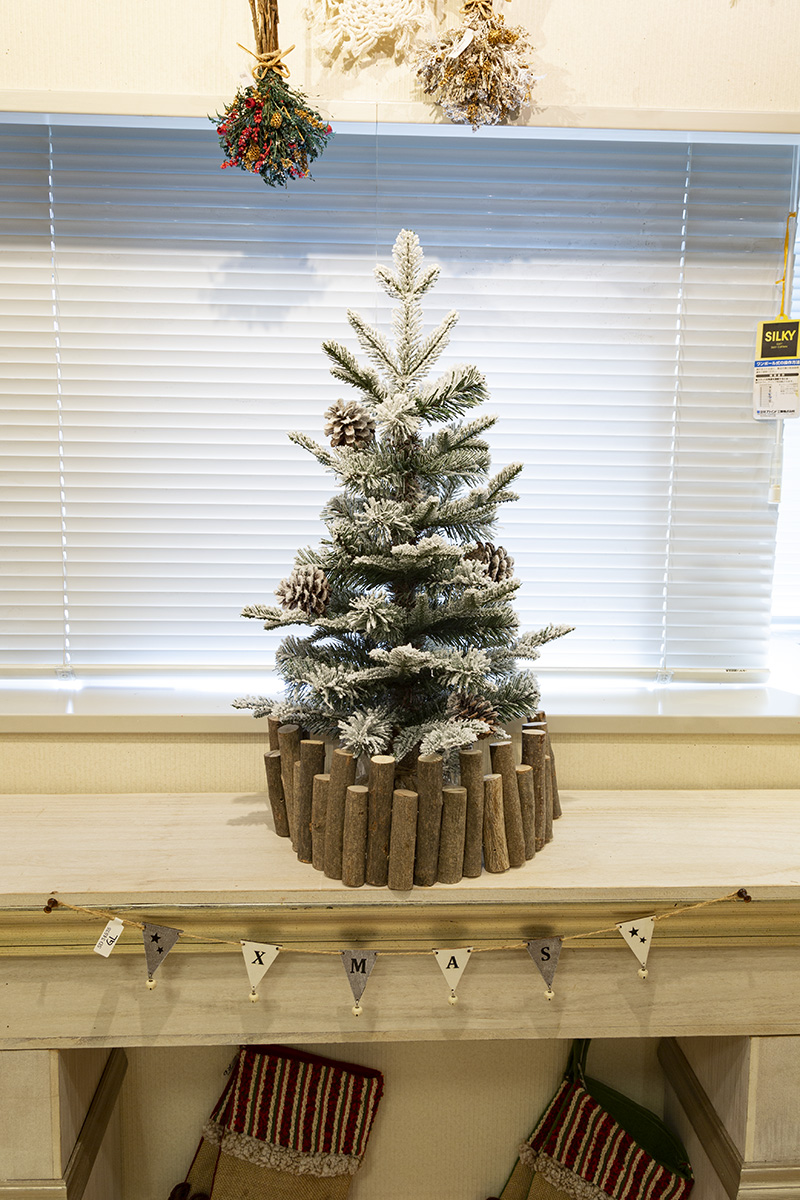 �~�j�E�b�h�t�F���X�i�i�b�c�u���E���j