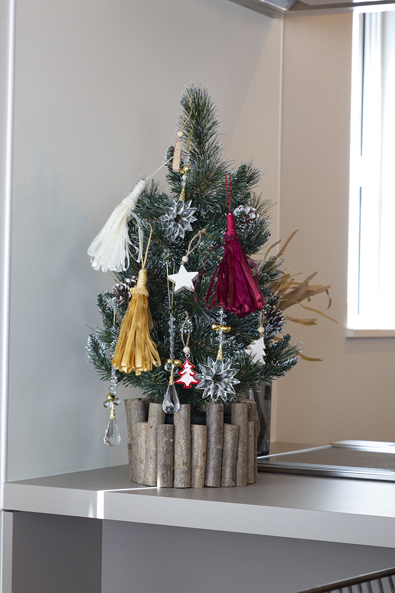 �~�j�E�b�h�t�F���X�i�i�b�c�u���E���j