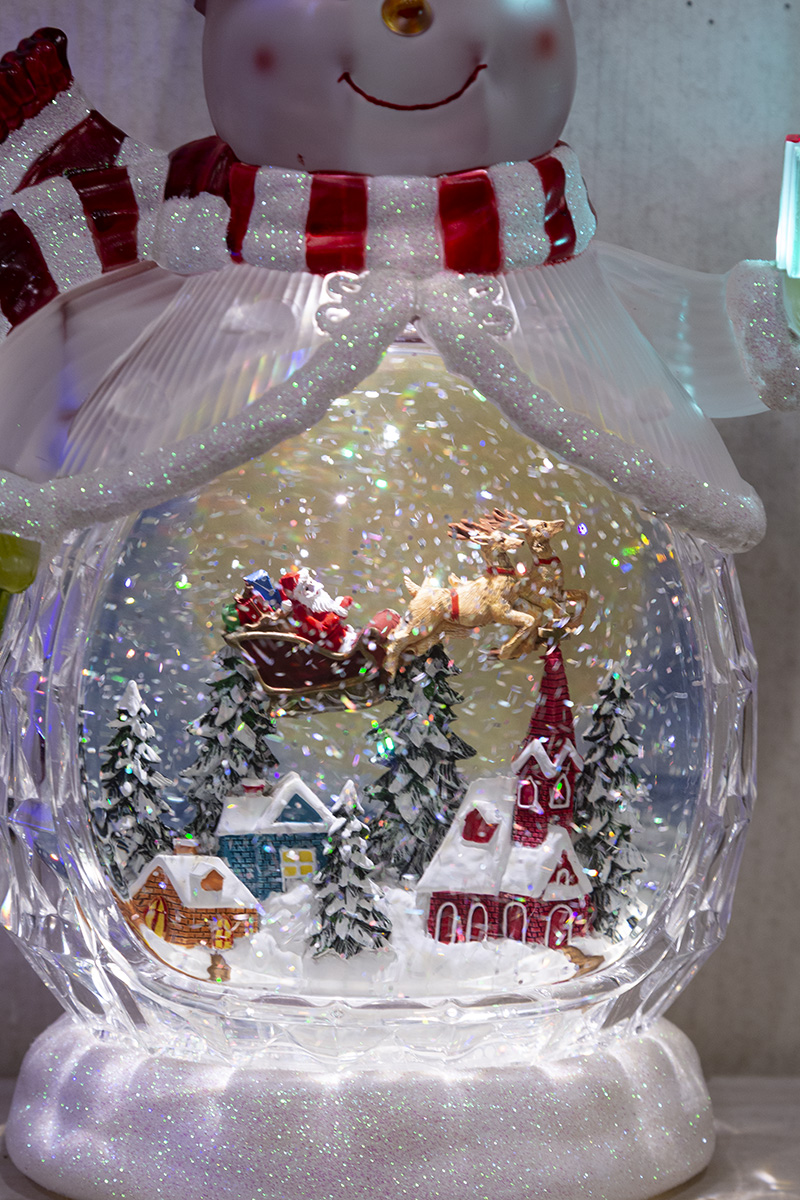 �X�m�[�C���O�~���[�W�J���X�^���h�i�X�m�[�}���j