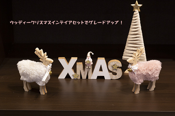 �E�b�f�B�[�c���[