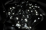 100LEDX^[CgizCgj