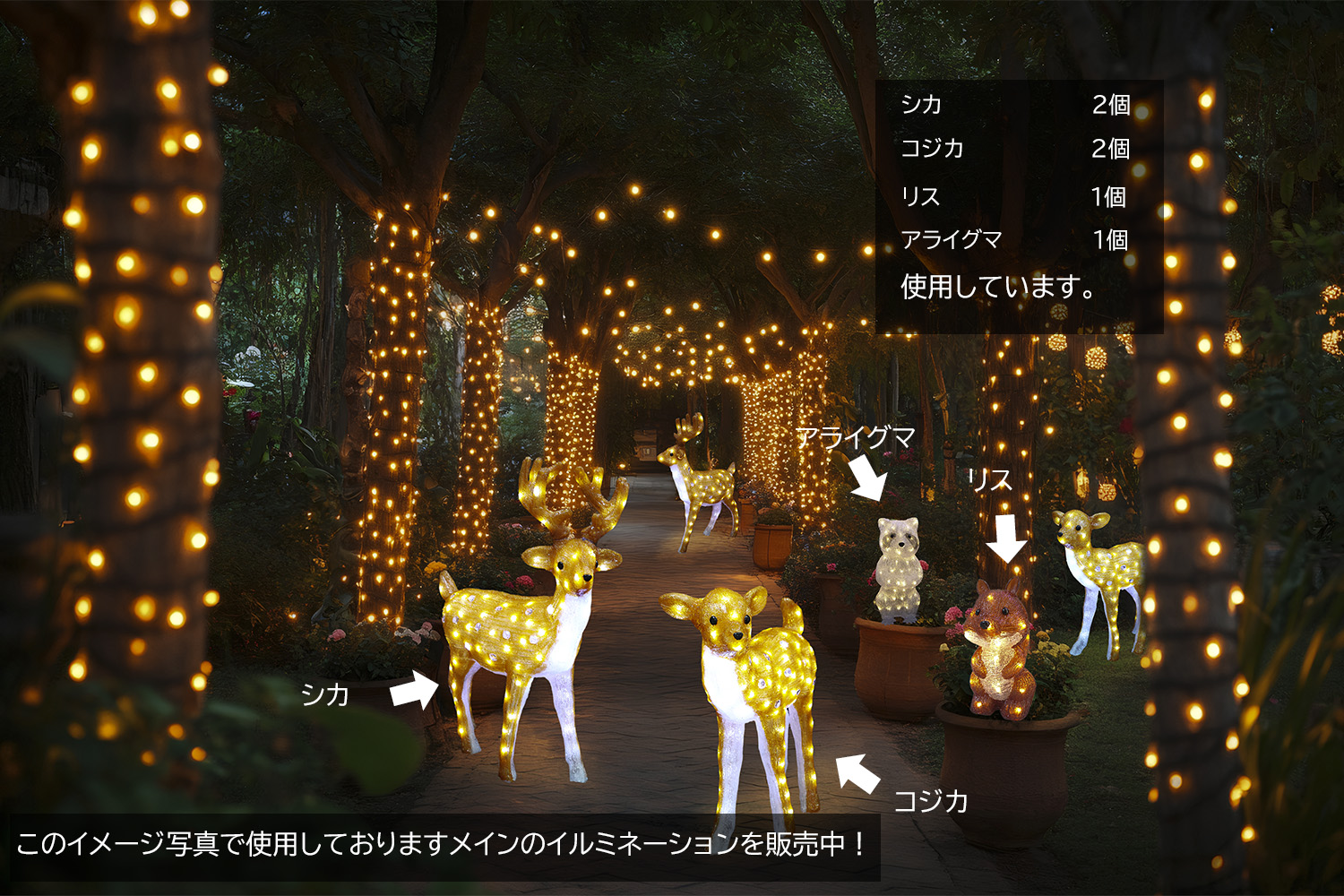 �ݒu�C���[�W