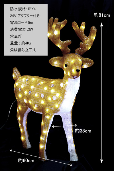 �T�C�Y�C���[�W