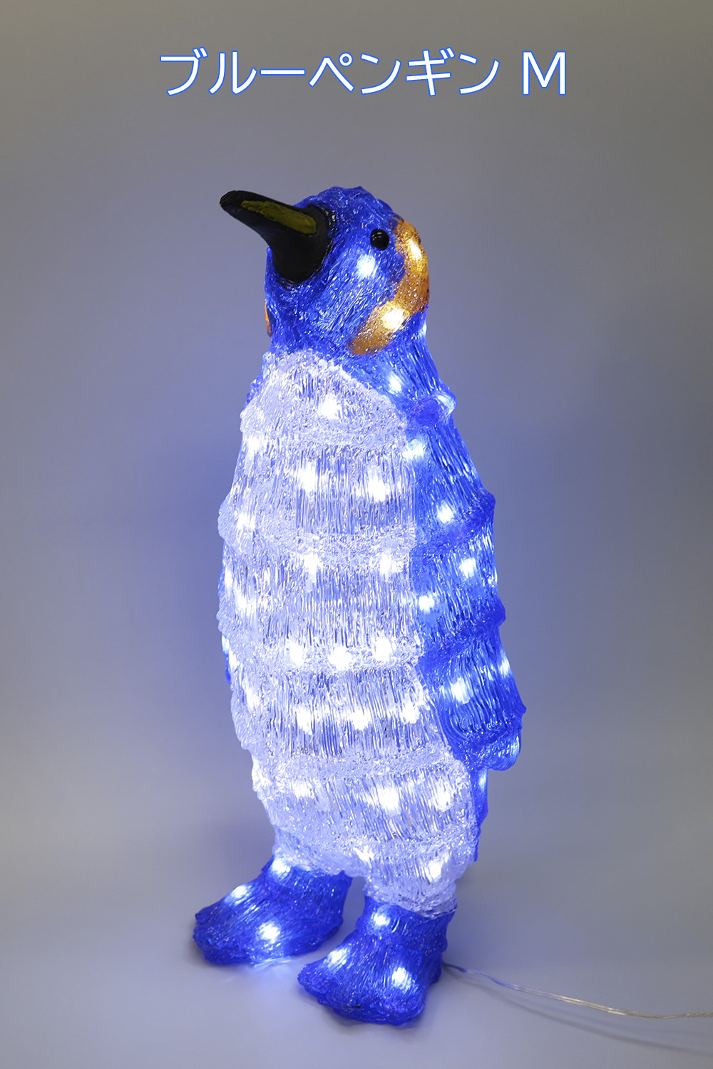 �u���[�y���M��M