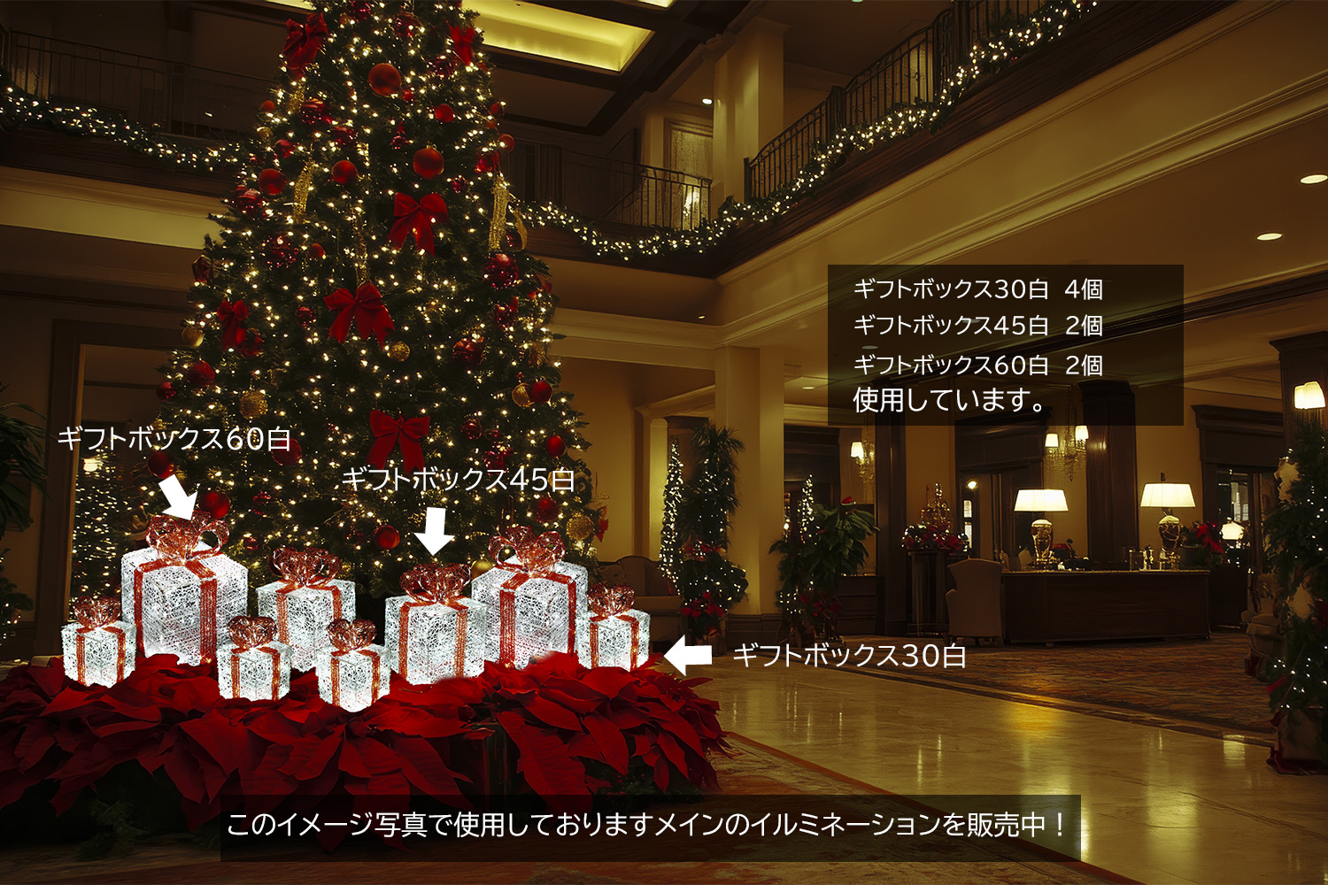 �M�t�g�{�b�N�X