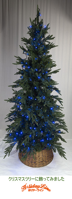 �������