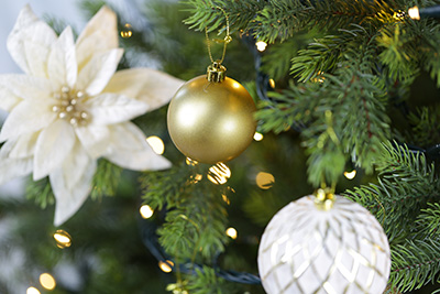�N���X�}�X�I�[�i�����g�Z�b�g�i�t���C�f���E�S�[���h180�j�������