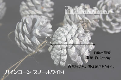 TCYC[W
