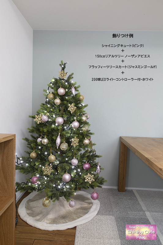 NX}XI[igZbgiVCjOL[gEsNj