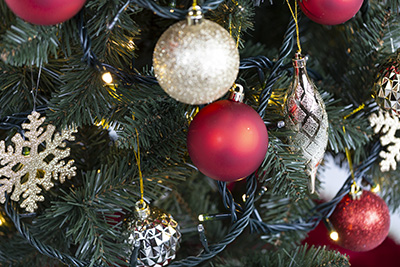 �N���X�}�X�I�[�i�����g�Z�b�g�i�V���C�j���O�L���[�g�E���b�h�j�������