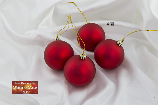 �I�[�i�����g�̏ڍ�