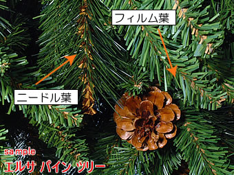 Nakajo's Christmas クリスマスツリー販売 エルサパインポットツリー