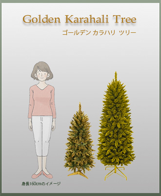 �T�C�Y�C���[�W