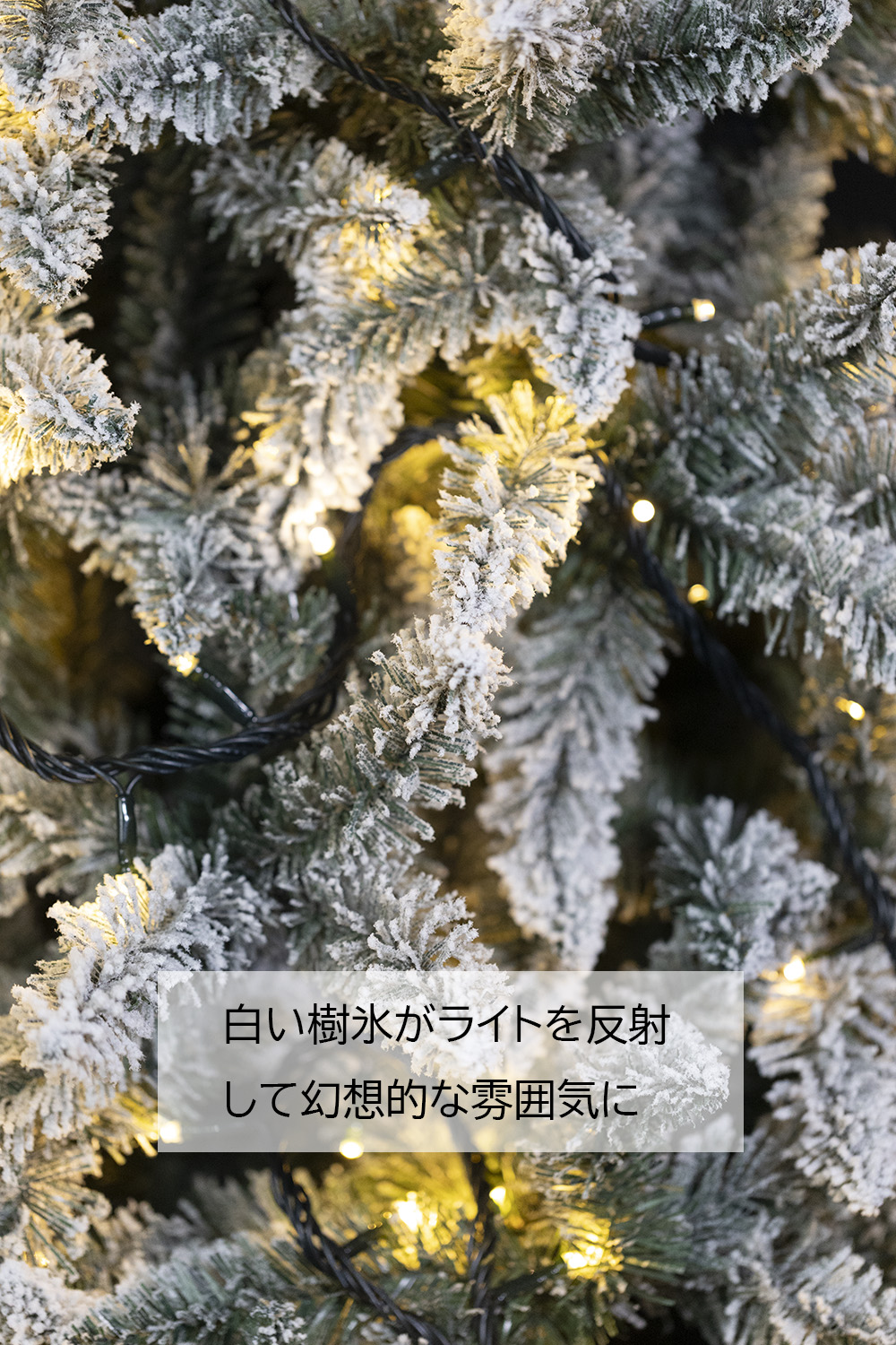 樹氷ツリー