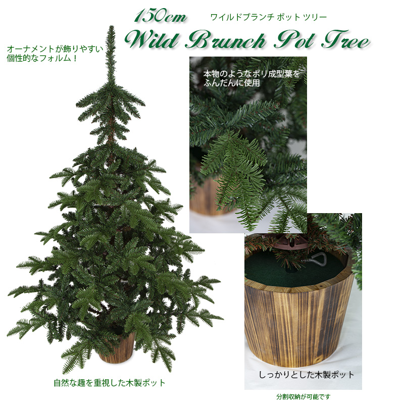 150cm���C���h�u�����`�|�b�g�c���[