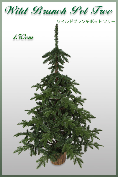 150cm���C���h�u�����`�|�b�g�c���[