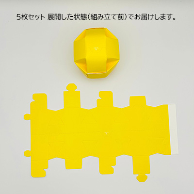 パックポン