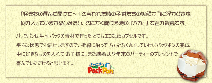 �p�b�N�|���Q�S�Z�b�g�i�N���X�}�X�o�[�W�����j