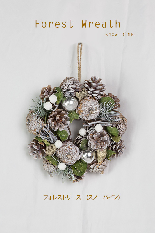 �t�H���X�g���[�X�i�X�m�[�p�C���j