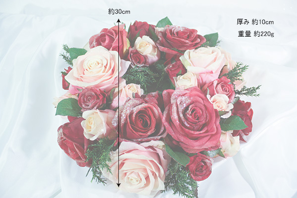 �T�C�Y�C���[�W