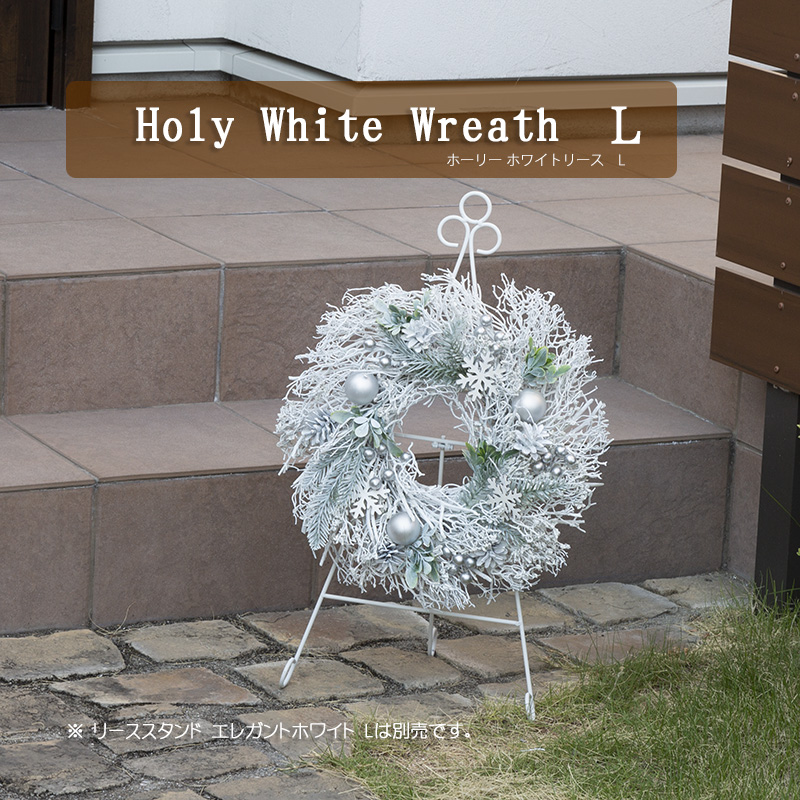 �z�[���[�z���C�g���[�X�i�k�j