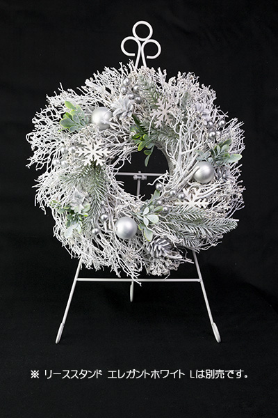 �z�[���[�z���C�g���[�X�i�k�j