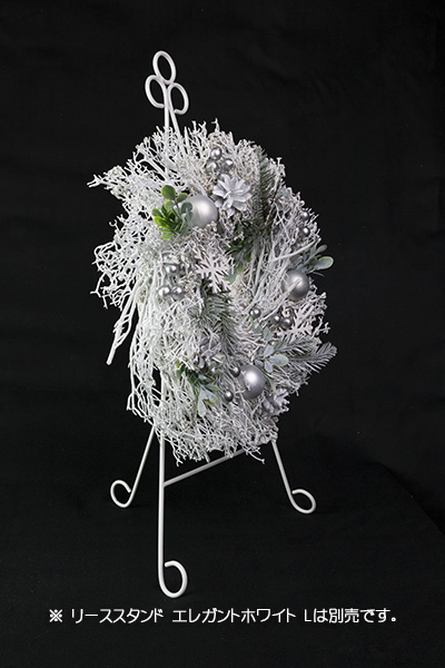 �z�[���[�z���C�g���[�X�i�k�j