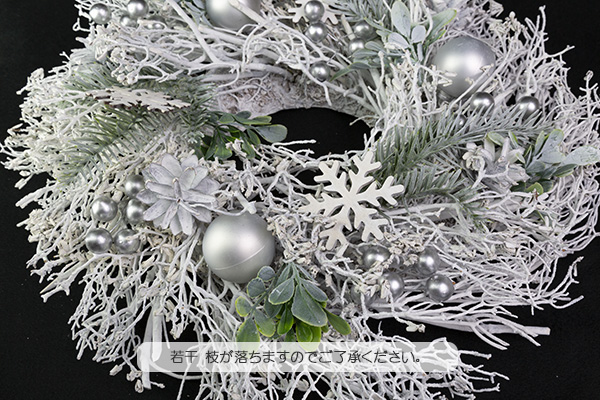 �z�[���[�z���C�g���[�X�i�k�j