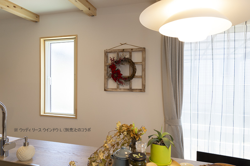 ���{���̃��[�X�E�z��