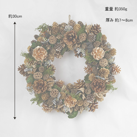 �T�C�Y�C���[�W