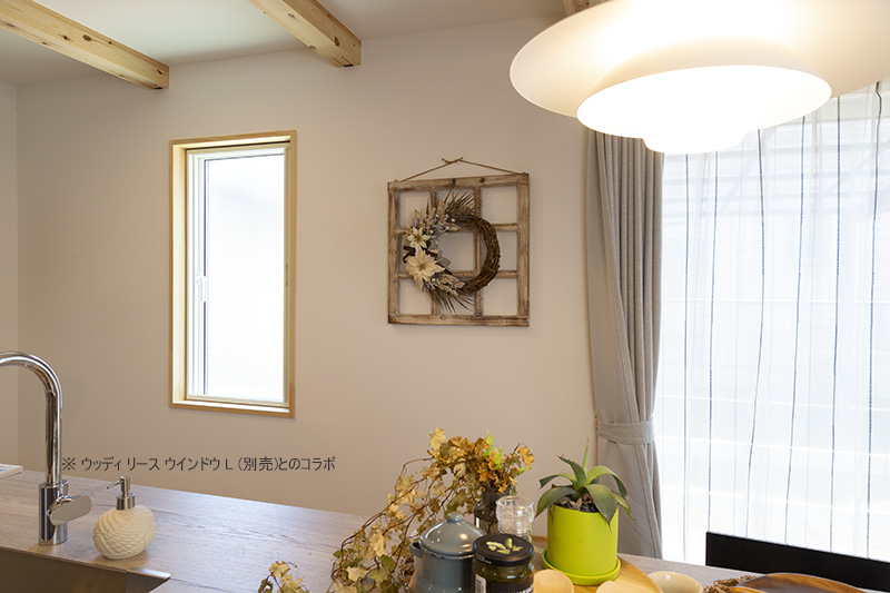 ���{���̃��[�X�E�ؘR���