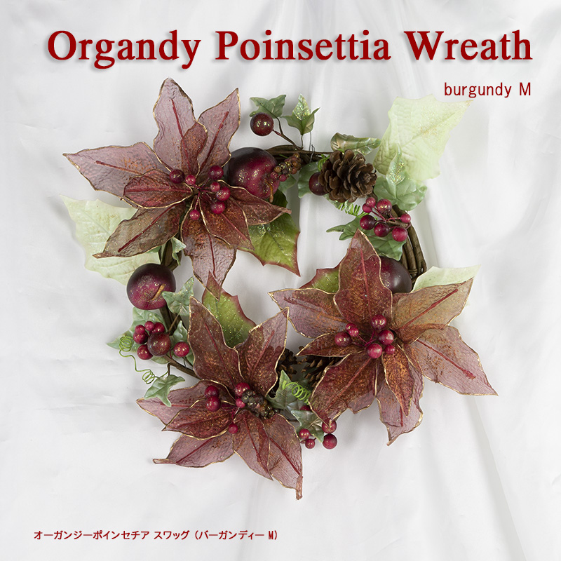 �I�[�K���W�[�|�C���Z�A�`���[�X�i�o�[�K���f�B�[M�j