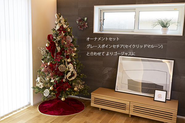 �I�[�K���W�[�|�C���Z�A�`���[�X�i�o�[�K���f�B�[M�j