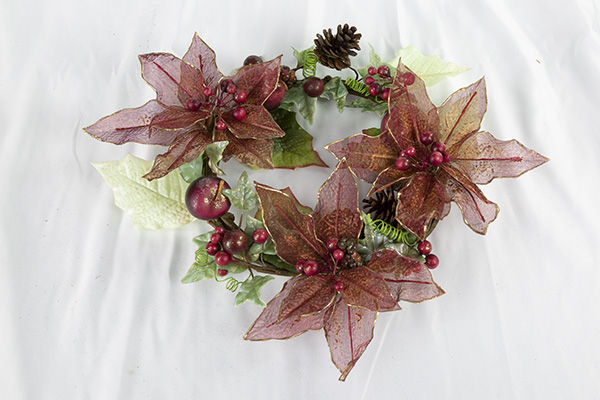 �I�[�K���W�[�|�C���Z�A�`���[�X�i�o�[�K���f�B�[M�j