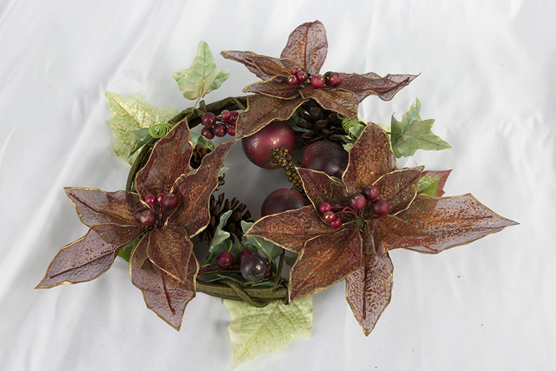 �I�[�K���W�[�|�C���Z�`�A���[�X�i�K�[�l�b�g�u���E���l�j