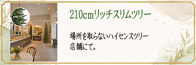210cm���b�`�X�����c���[�@�X�܂ɂ�