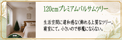 120cm�v���~�A���o���T���c���[�@�Q���ɂ�