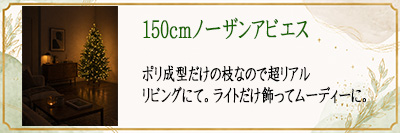 180cm�m�[�U���A�r�G�X�@���r���O�ɂ�