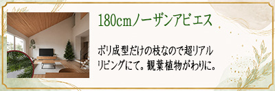 180cm�m�[�U���A�r�G�X�@���r���O�ɂā@�ϗt�A��������