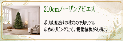 210cm�m�[�U���A�r�G�X�@�L�߂̃��r���O�ɂā@�ϗt�A��������